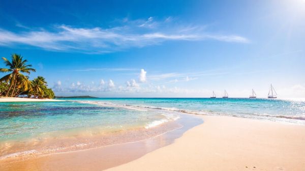 Découvrez les plages secrètes de la barbade pour s'échapper